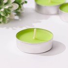 Набор чайных свечей ароматических "Зеленое яблоко", 24 шт - фото 24476843