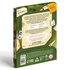 Логическая игра «Нераскрытые дела. Пропажа короля», 20 карточек, 6+ - Фото 4