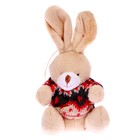 Мягкая игрушка «Кролик», на подвесе, в кофте, цвета МИКС - Фото 4