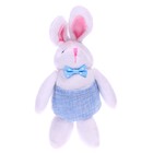 Мягкая игрушка «Кролик», с карманом, 15 см, виды МИКС - фото 108666565