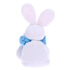 Мягкая игрушка «Кролик», с мешочком, виды МИКС - Фото 2