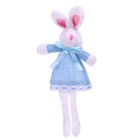Мягкая игрушка «Зайка в платье», 21 см, цвет, виды МИКС - фото 2777212