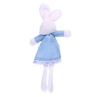 Мягкая игрушка «Зайка в платье», 21 см, цвет, виды МИКС - Фото 2