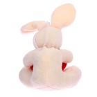 Мягкая игрушка «Заяц», сердечко, на подвеске, цвета МИКС - Фото 2