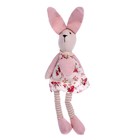 Мягкая игрушка «Кролик», цвет розовый, виды МИКС - фото 680125