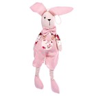 Мягкая игрушка «Кролик», цвет розовый, виды МИКС - фото 6688248