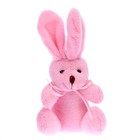 Мягкая игрушка «Кролик», цвета МИКС - фото 6688256