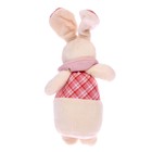 Мягкая игрушка «Кролик с морковкой», цвета МИКС - фото 6688260