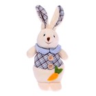 Мягкая игрушка «Кролик с морковкой», цвета МИКС - Фото 3