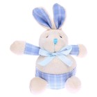 Мягкая игрушка «Кролик», с кармашком, виды МИКС - фото 2777215