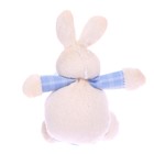 Мягкая игрушка «Кролик», с кармашком, виды МИКС - Фото 2