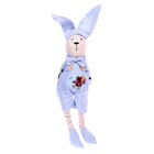 Мягкая игрушка «Кролик», цвет голубой, виды МИКС - фото 6688269
