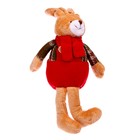Мягкая игрушка «Кролик в шарфе», виды МИКС - фото 6688275