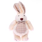 Мягкая игрушка «Кролик в бабочке», цвета МИКС - фото 319038353