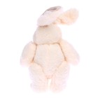 Мягкая игрушка «Кролик в бабочке», цвета МИКС - фото 4514774