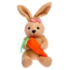 Мягкая игрушка «Кролик с морковкой», 20 см, виды МИКС - фото 319038376