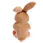 Мягкая игрушка «Кролик с морковкой», 20 см, виды МИКС - фото 3587815