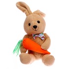 Мягкая игрушка «Кролик с морковкой», 20 см, виды МИКС - фото 6688304