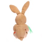 Мягкая игрушка «Кролик с морковкой», 20 см, виды МИКС - фото 3587817