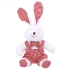 Мягкая игрушка «Кролик», 20 см, виды МИКС - фото 3587823
