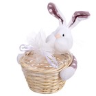 Конфетница «Кролик», с сеткой, цвета МИКС - Фото 4