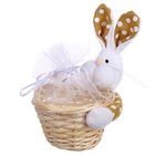 Конфетница «Кролик», с сеткой, цвета МИКС - Фото 5