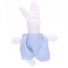 Мягкая игрушка «Кролик», цвета МИКС - фото 6688474