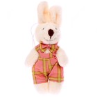Мягкая игрушка «Кролик», клетка, на подвесе, виды МИКС - фото 25469620