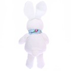 Мягкая игрушка «Кролик в шарфе», цвета МИКС - Фото 2