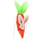 Конфетница «Морковка с зайкой», цвета МИКС - Фото 2