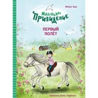 Маленькое привидение. Первый полёт. Мейке Хаас - фото 109673023