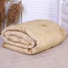 Одеяло Верблюд облег 140х205 см, полиэфирное волокно 150г, 100% полиэстер - фото 299397059