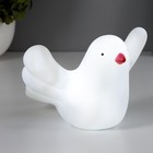 Ночник Птичка LED от батареек белый RISALUX - фото 21755935