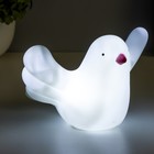 Ночник Птичка LED от батареек белый RISALUX - фото 21755936