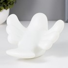 Ночник Птичка LED от батареек белый RISALUX - фото 21755937