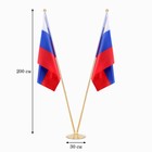 Флагшток напольный двойной 2 м, телескопический, платформа d=30 см - Фото 1