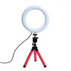 Кольцевая лампа, набор для съёмок видео - фото 9587806