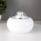 Ночник увлажнитель "Котенок" LED 2Вт USB АКБ белый 13х13х10,2 см RISALUX - фото 21756412