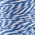 Пряжа 100% целлюлоза "Softino Raffia Color Melange" кручёная, синяя 100м ±2м 87 гр - Фото 3