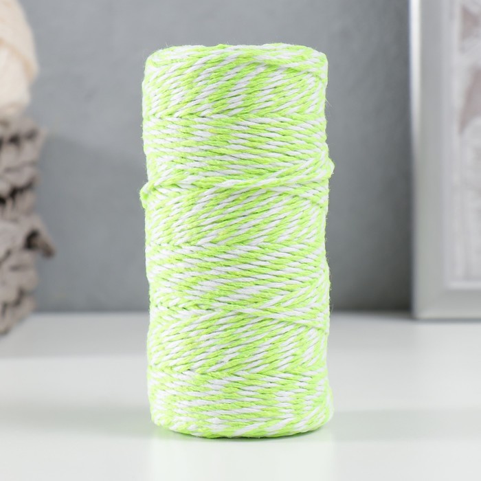 Пряжа 100% целлюлоза "Softino Raffia Color Melange" кручёная, светло-зелёная 100м ±2м 87 гр   76210 - Фото 1