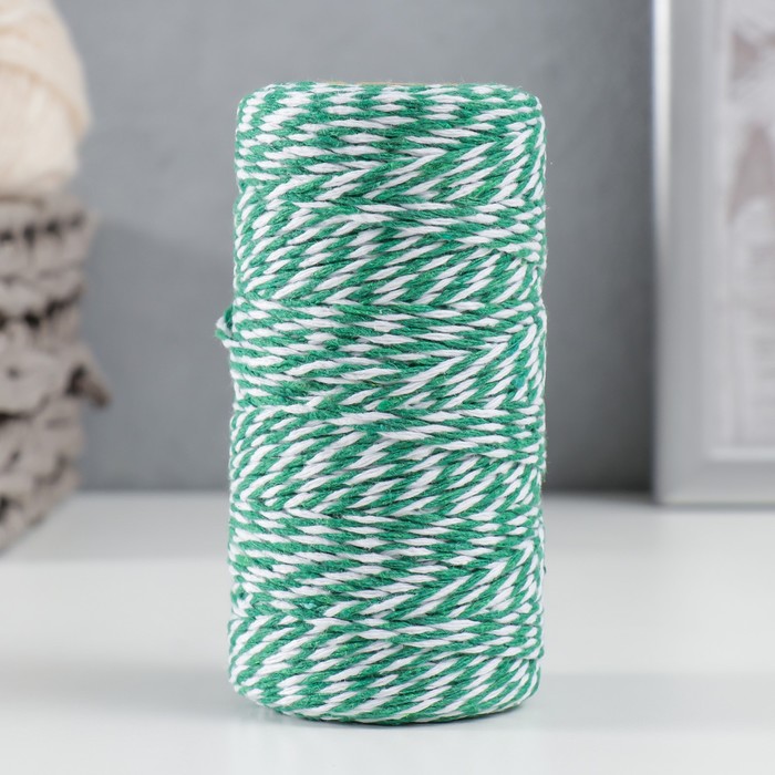Пряжа 100% целлюлоза "Softino Raffia Color Melange" кручёная, ярко-зелёная 100м ±2м 87 гр - Фото 1