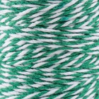 Пряжа 100% целлюлоза "Softino Raffia Color Melange" кручёная, ярко-зелёная 100м ±2м 87 гр - Фото 3