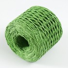 Пряжа 100% целлюлоза "Softino Raffia Color" кручёная, зелёная 200м ±2м 120 гр - Фото 2
