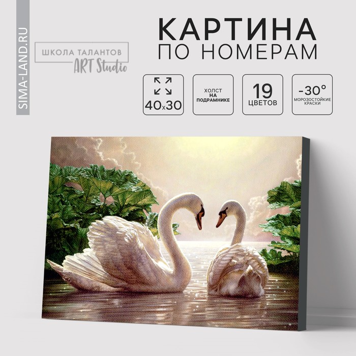 

Картина по номерам на холсте с подрамником «Лебеди на тихом пруду», 40 х 30 см