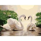 Картина по номерам на холсте с подрамником «Лебеди на тихом пруду», 40 х 30 см - Фото 2