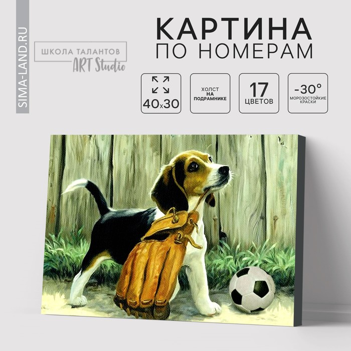 Картина по номерам на холсте с подрамником «Щенок с мячом», 40 х 30 см - Фото 1