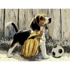 Картина по номерам на холсте с подрамником «Щенок с мячом», 40 х 30 см - Фото 2