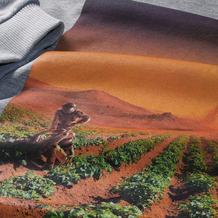 Свитшот «Марс. Жизнь возможна», размер L 56386