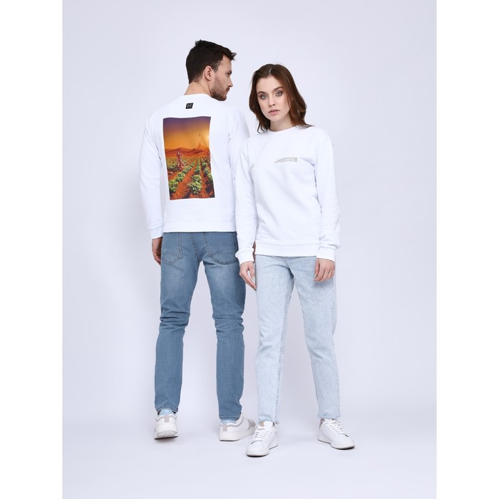 Свитшот «Марс. Жизнь возможна», размер L 56386