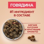 Сухой корм Purina One medium/maxi для взрослых собак, говядина/рис, 10 кг - Фото 4